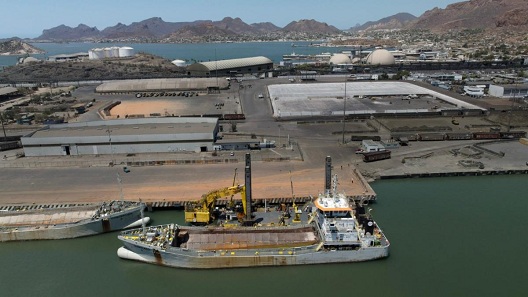 Trabajan para hacer un mejor y moderno Guaymas el chiltepin